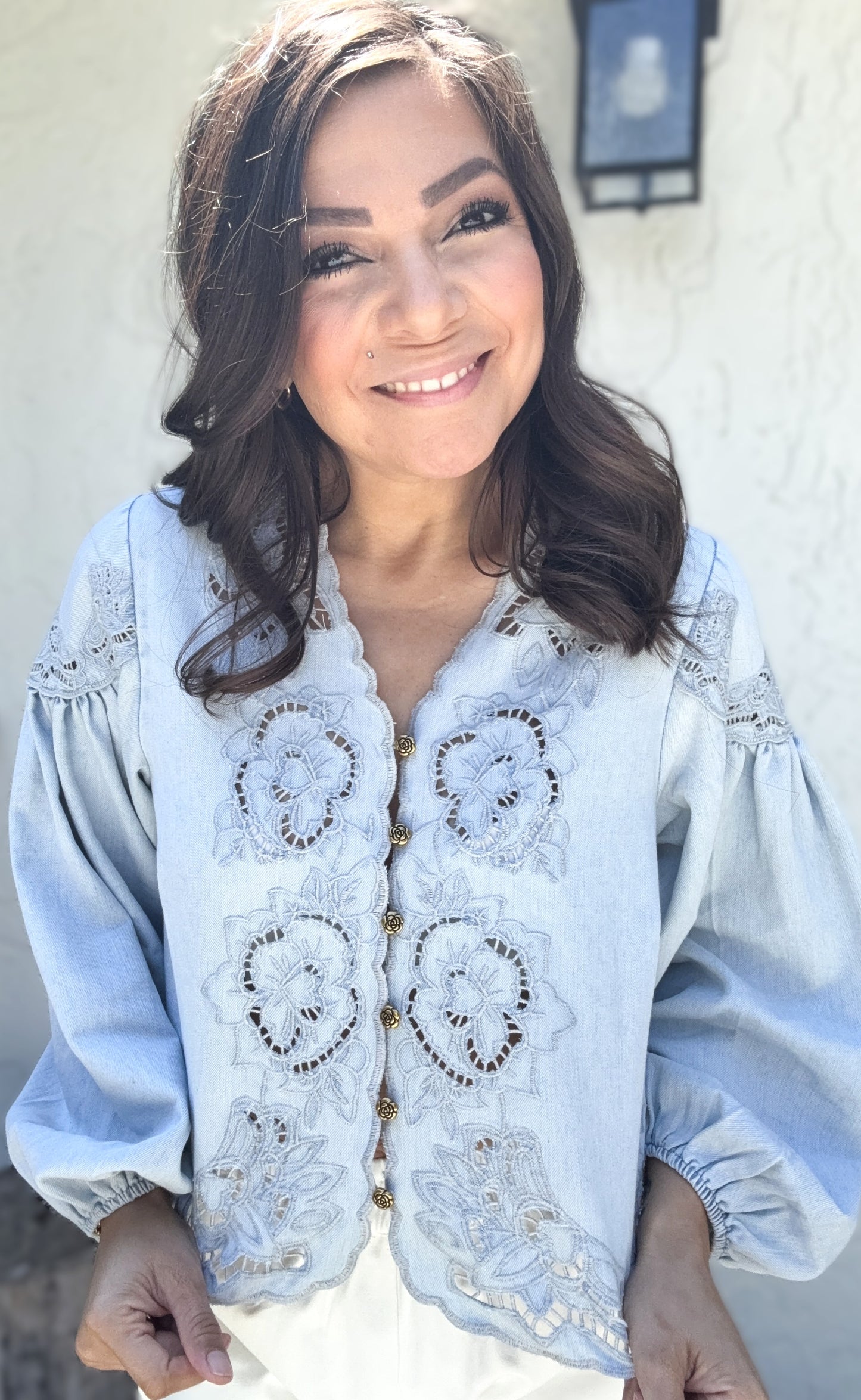 Genevieve Denim Embroidered Volume Sleeve Top
