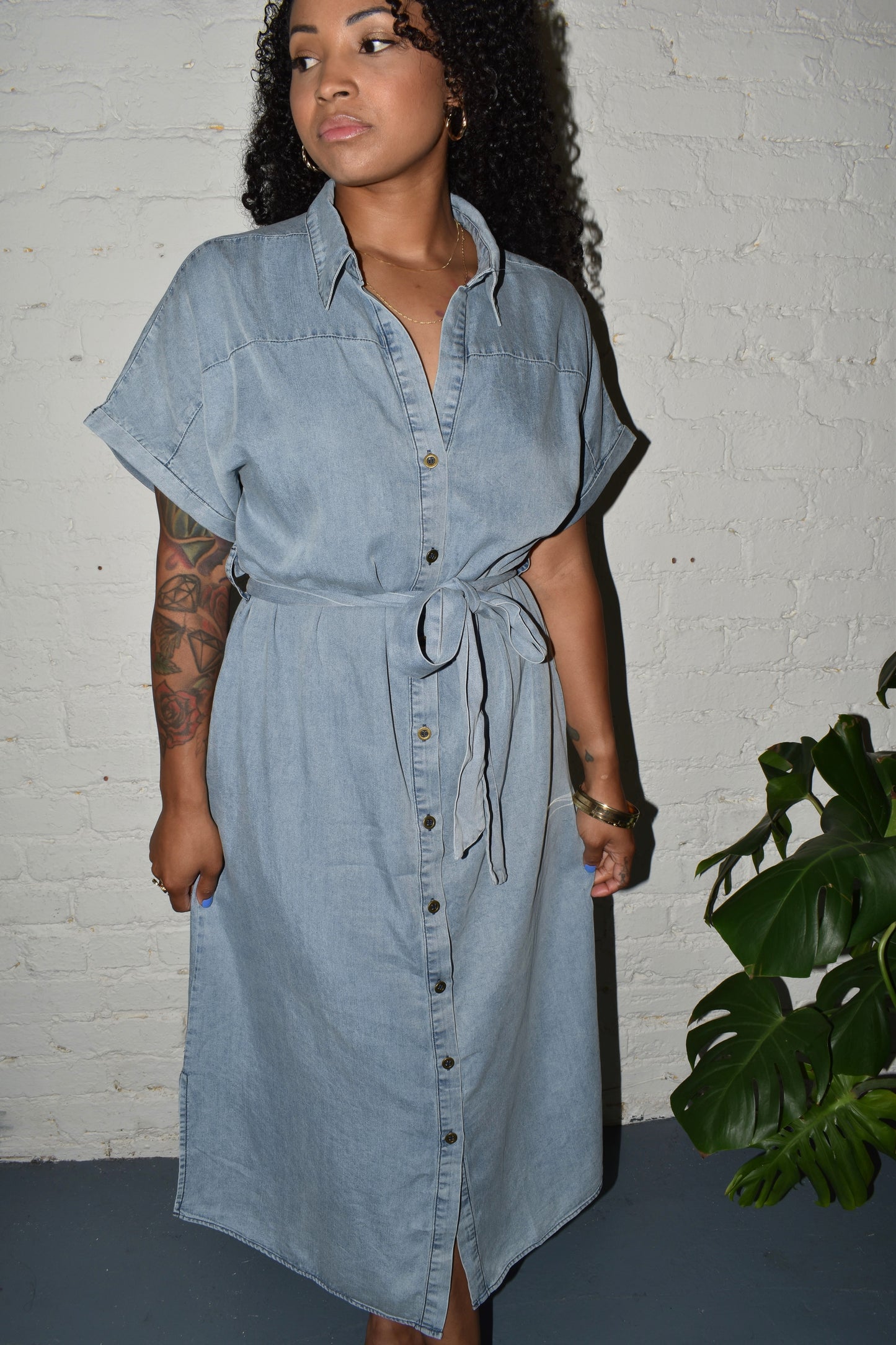 Catalina Denim Button Down Dress