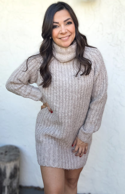 Mallory Chunky Turtleneck Tunic Sweater