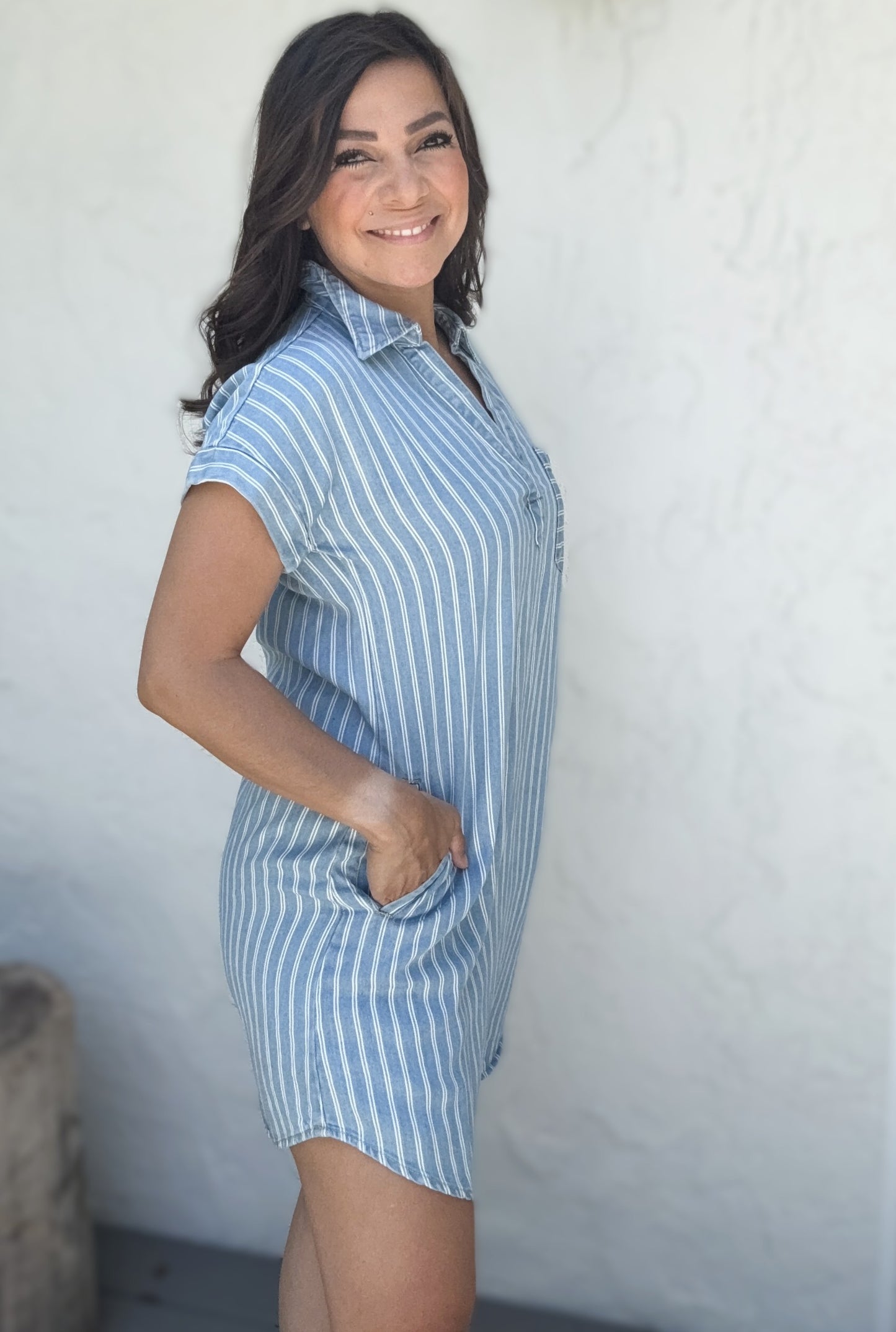 Olivia Stripe Chambray Mini Dress